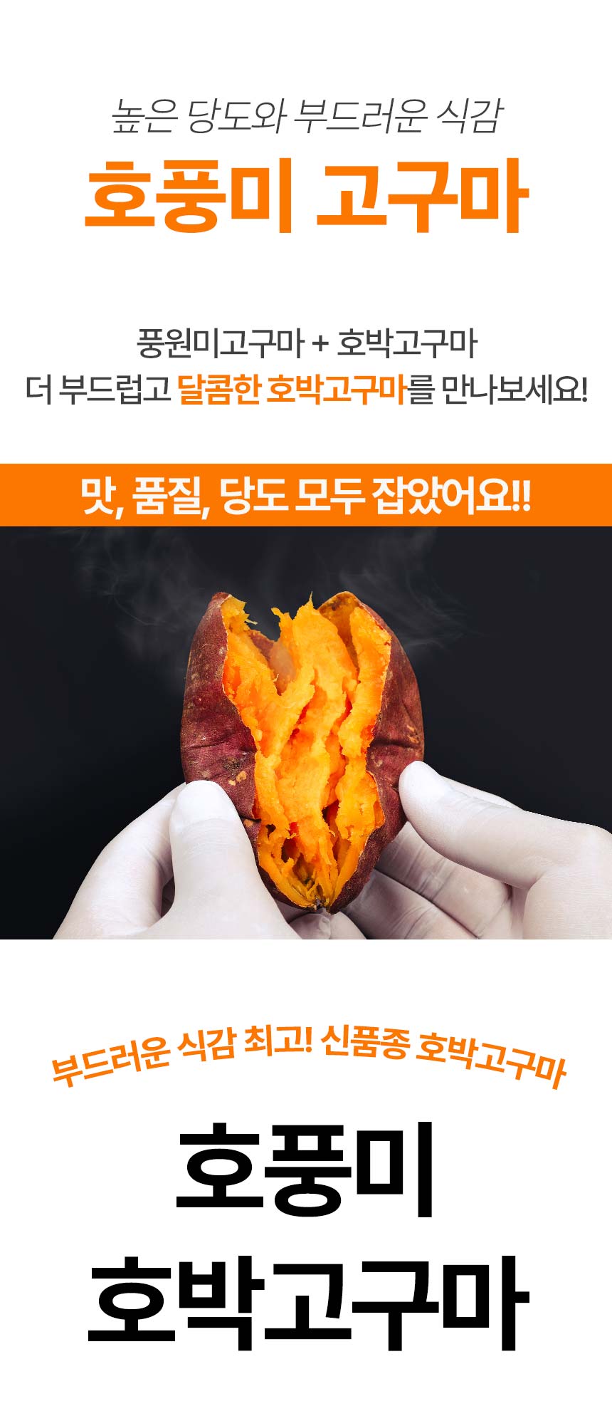 food100_8dvsy7PR.jpg