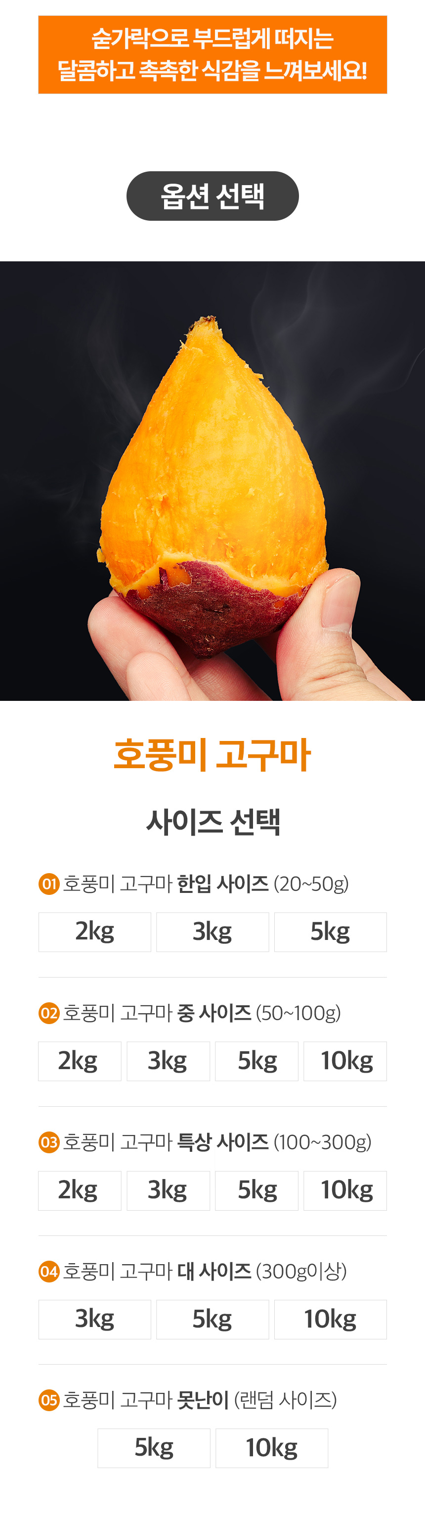 food100_C2rWbbHq.jpg