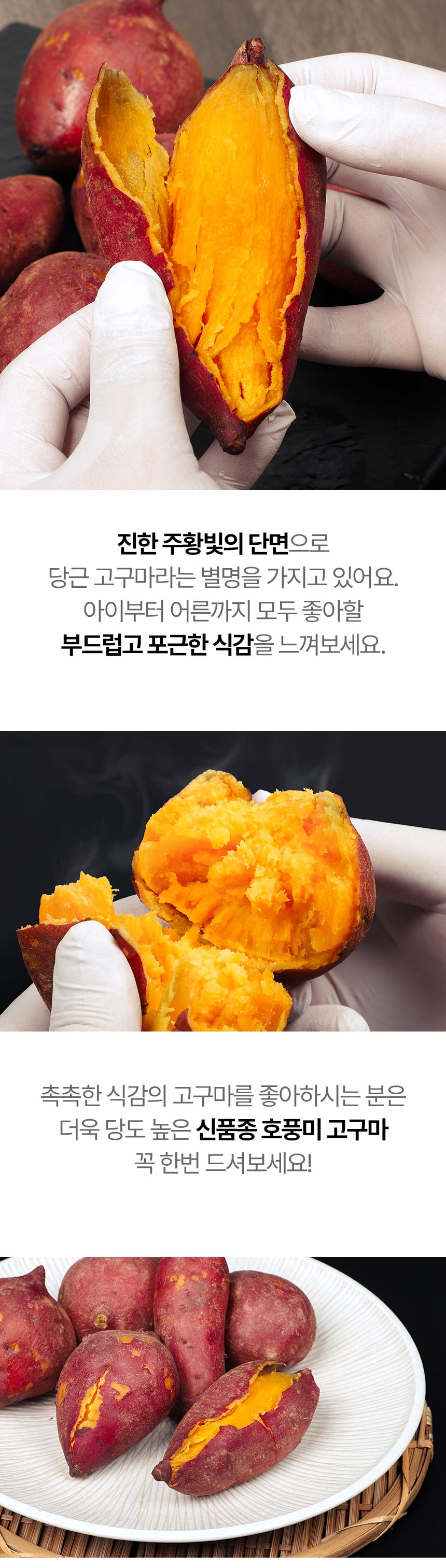 food100_QP6J3wD0.jpg
