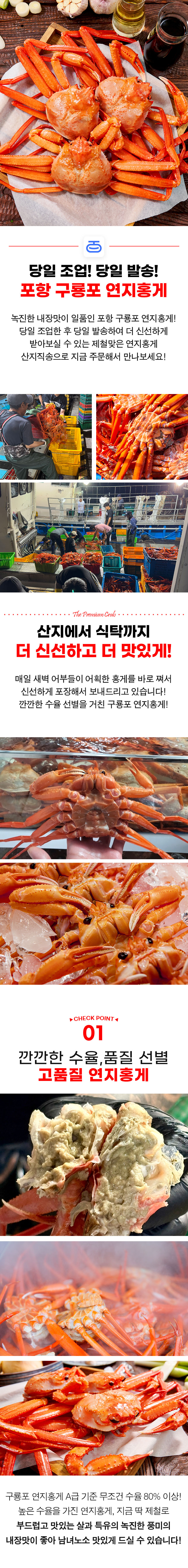 food100_XkI2u2Gu.jpg