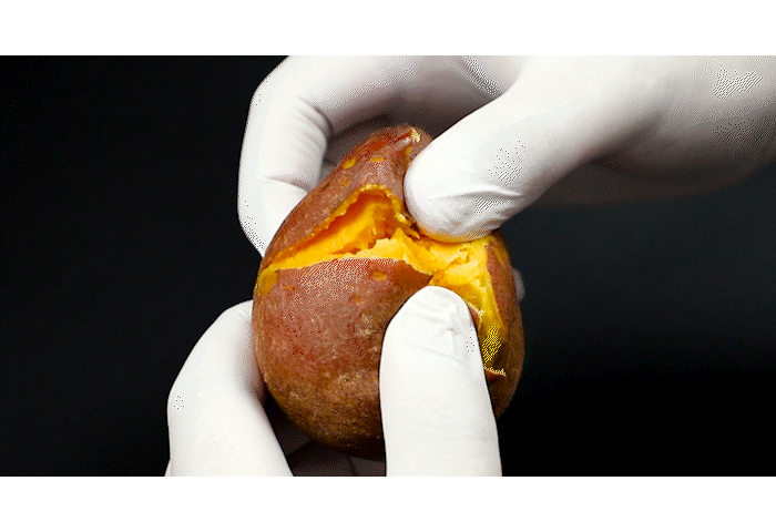food100_Xy-mPc6X.gif