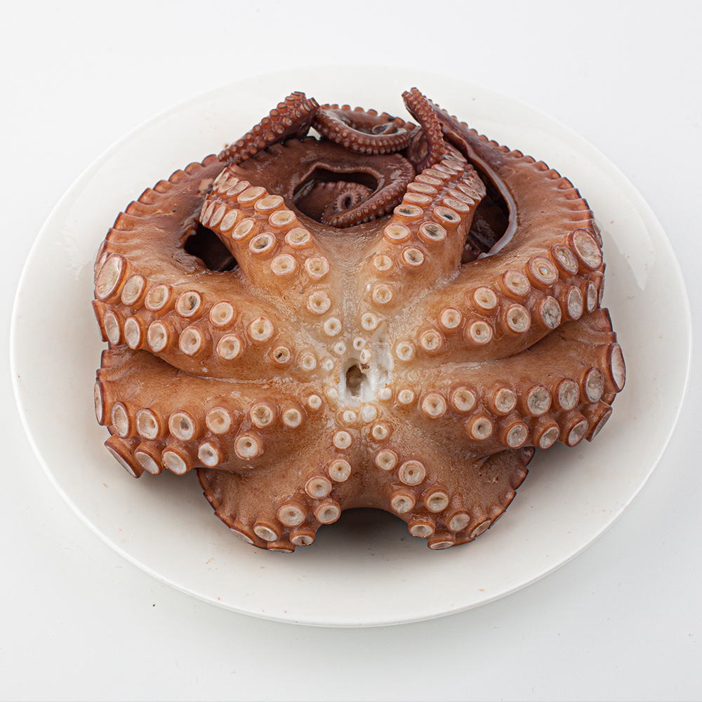 통영 돌문어